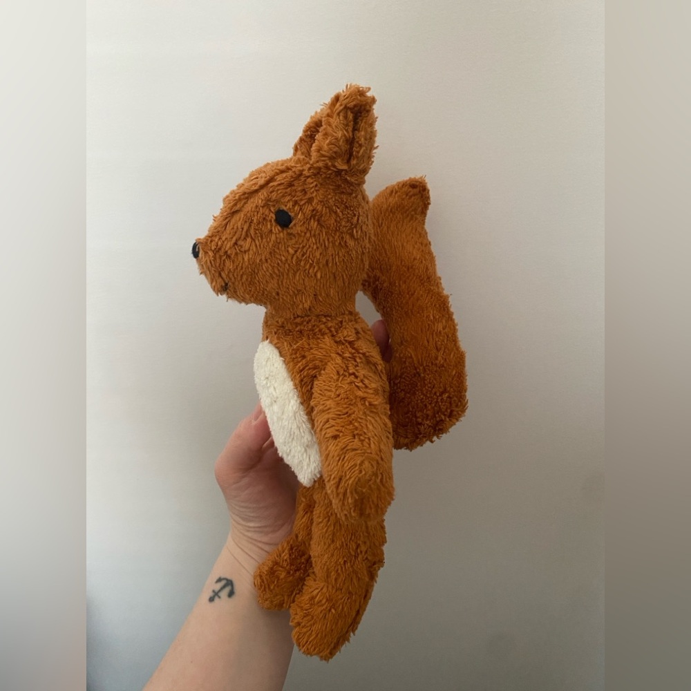 Senger brand baby squirrel